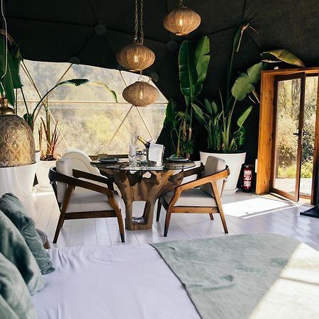 Domo Suites Masia Cal Geperut Badalona Eksteriør billede